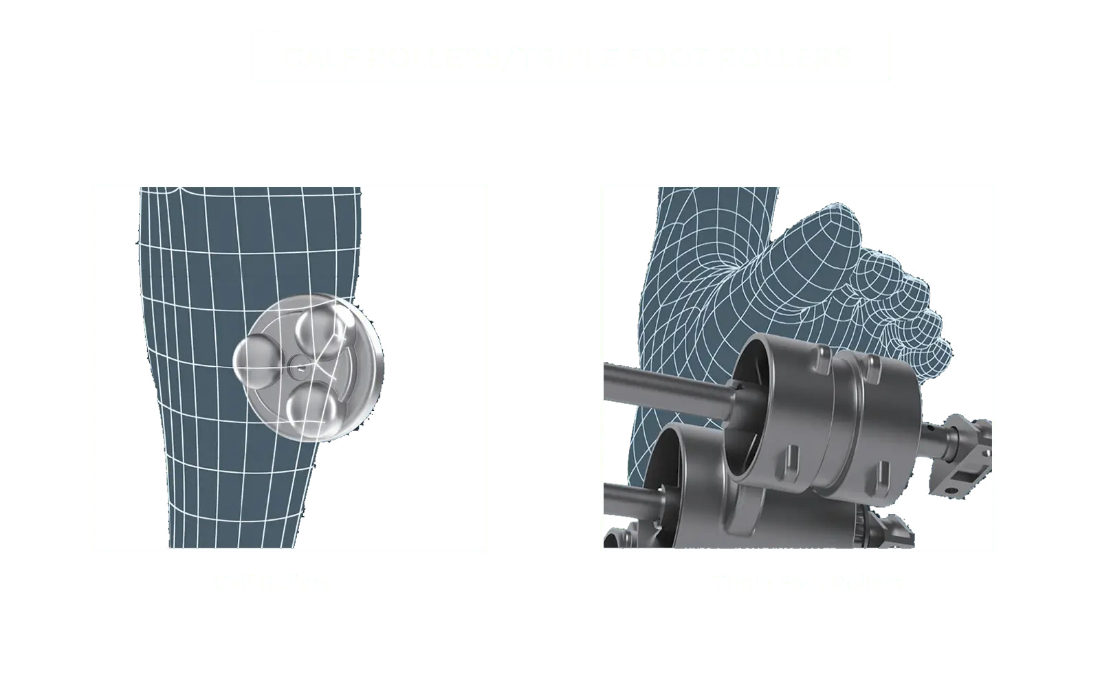 Calf Rollers/Triple Foot Rollers 