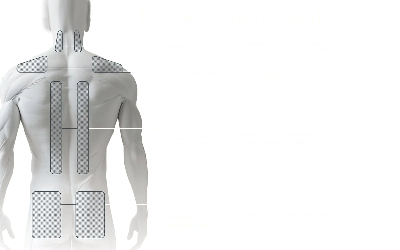 Massage Techniques & Courses